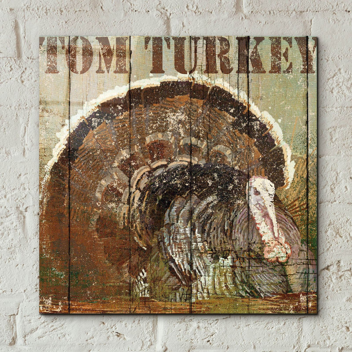Open Season Turkey by Art Licensing Studio - 12x12 acrylic wall art in a room