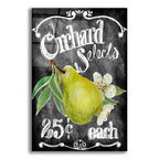 Orchard Selects by Art Licensing Studio acrylic glass wall art