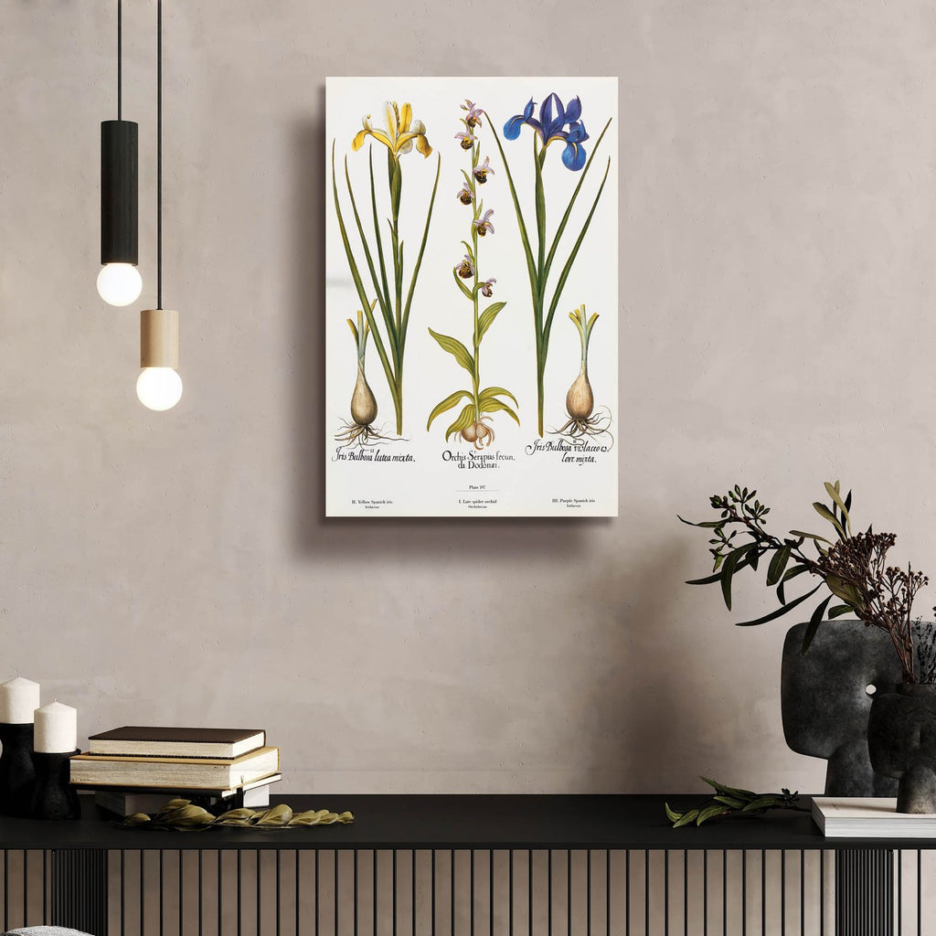Orchids by Art Licensing Studio - 16x24 acrylic wall art in a room