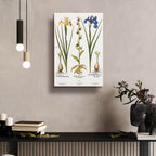 Orchids by Art Licensing Studio - 16x24 acrylic wall art in a room