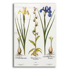 Orchids by Art Licensing Studio acrylic glass wall art
