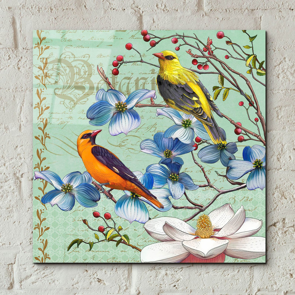 Oriole Bird Botanical by Art Licensing Studio - 12x12 acrylic wall art in a room