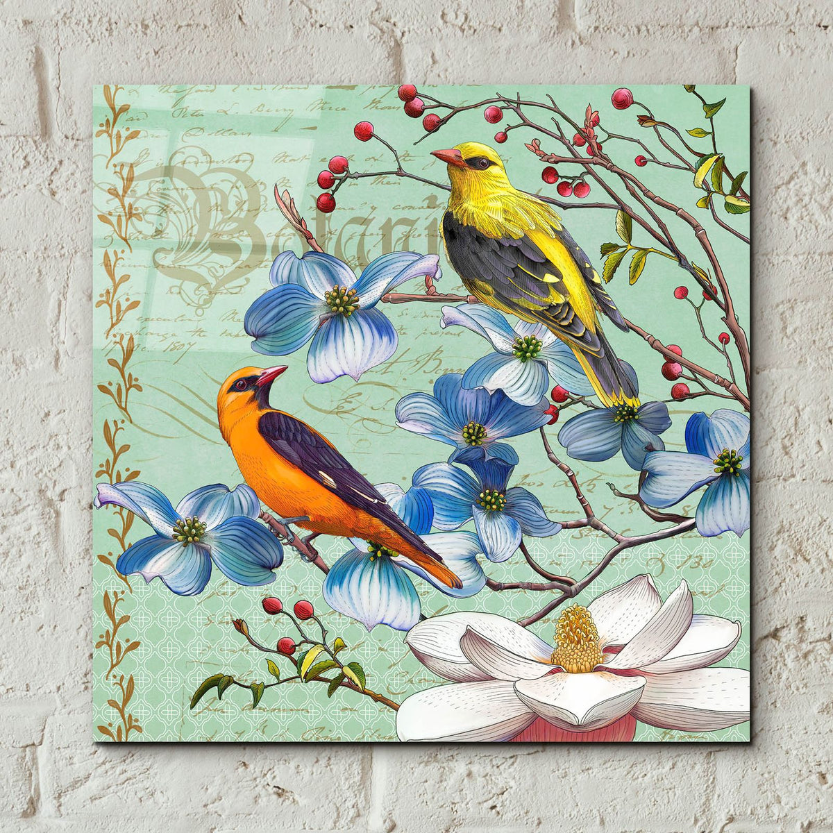 Oriole Bird Botanical by Art Licensing Studio - 12x12 acrylic wall art in a room
