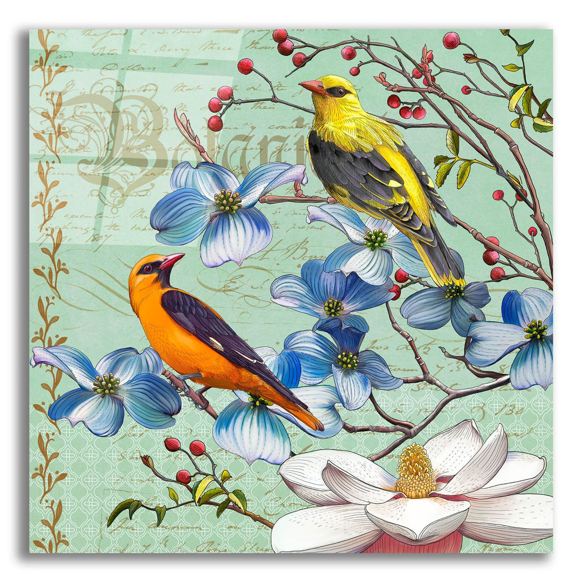 Oriole Bird Botanical by Art Licensing Studio acrylic glass wall art