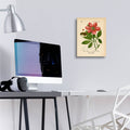 Paeonia Corallina by Art Licensing Studio - 12x16 acrylic wall art in a room