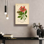 Paeonia Corallina by Art Licensing Studio - 16x24 acrylic wall art in a room
