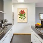 Paeonia Corallina by Art Licensing Studio - 24x36 acrylic wall art in a room