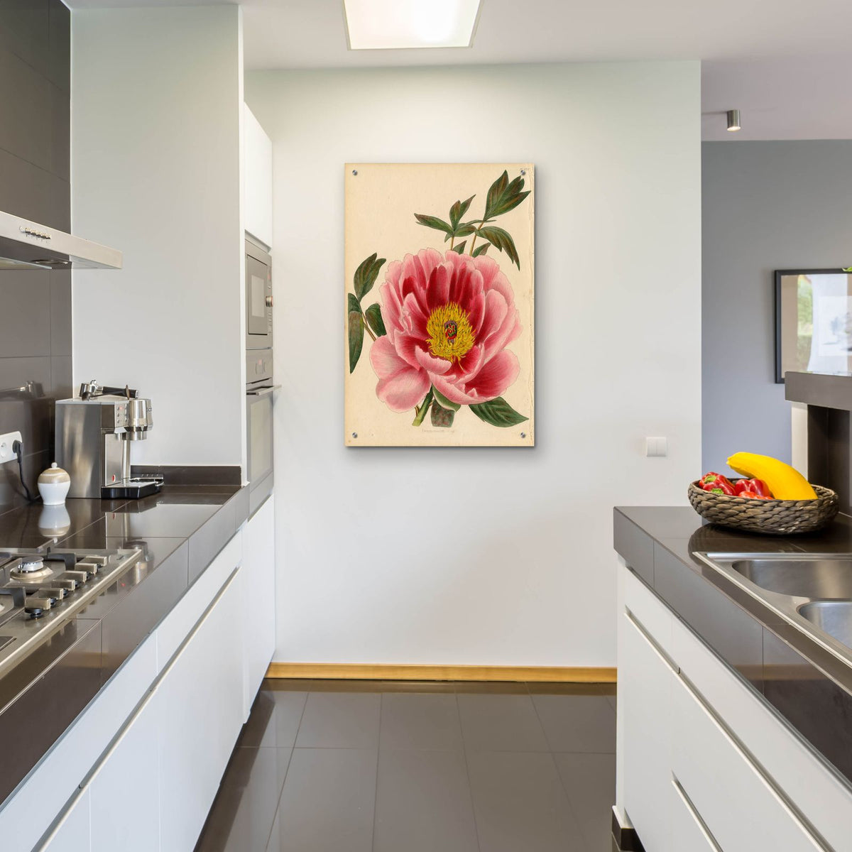 Paeonia Montan by Art Licensing Studio - 24x36 acrylic wall art in a room
