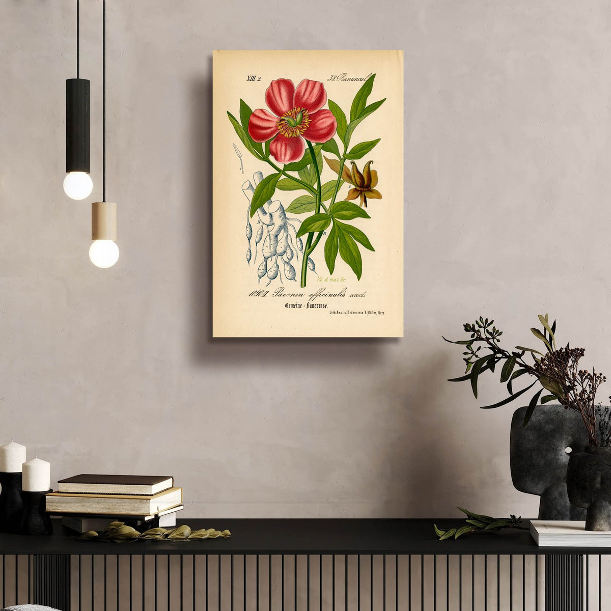 Paeonia Officinalis by Art Licensing Studio - 16x24 acrylic wall art in a room