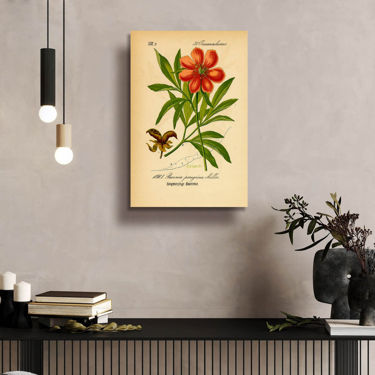 Paeonia Peregrina Miller by Art Licensing Studio - 16x24 acrylic wall art in a room