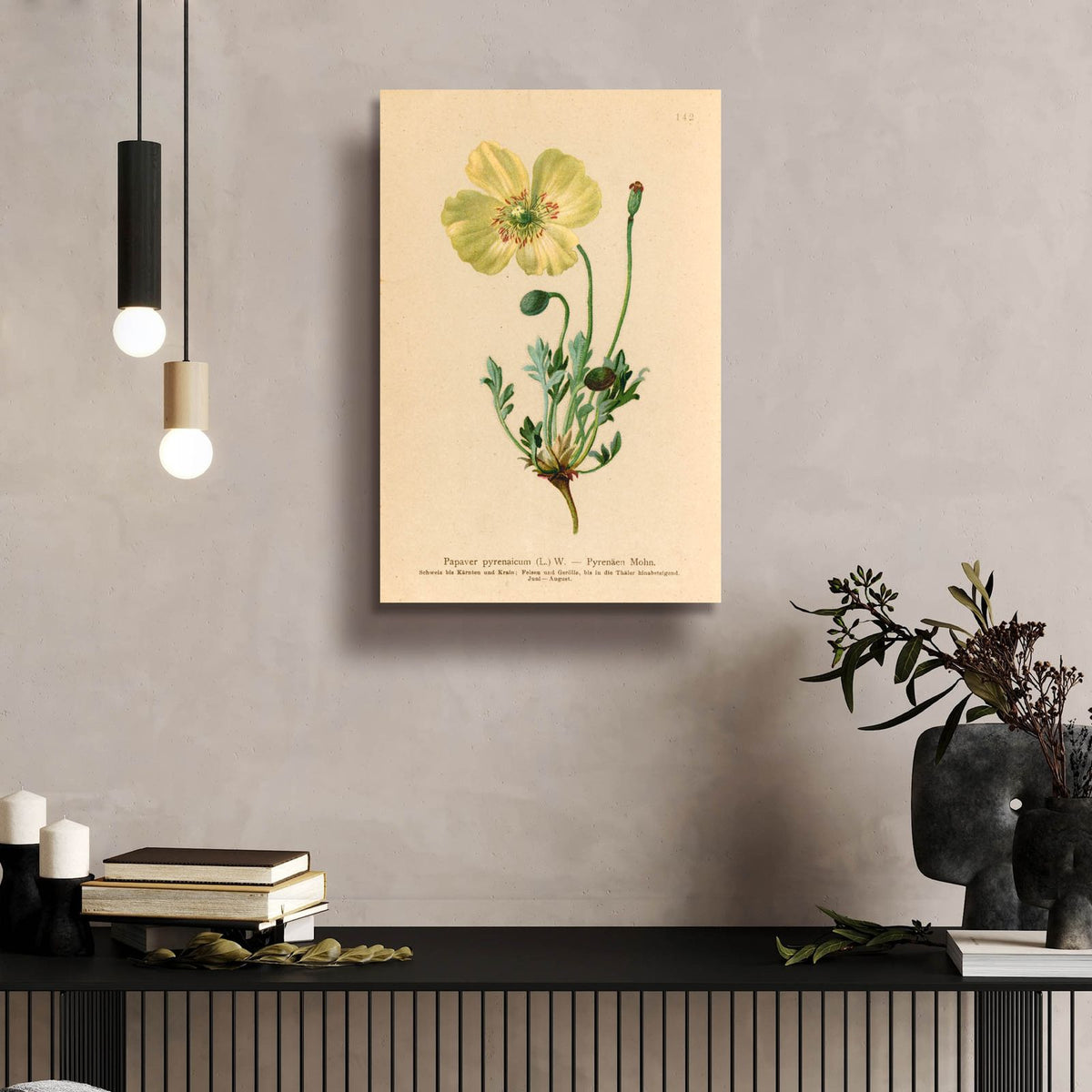 Papaver Pyrenaicum by Art Licensing Studio - 16x24 acrylic wall art in a room