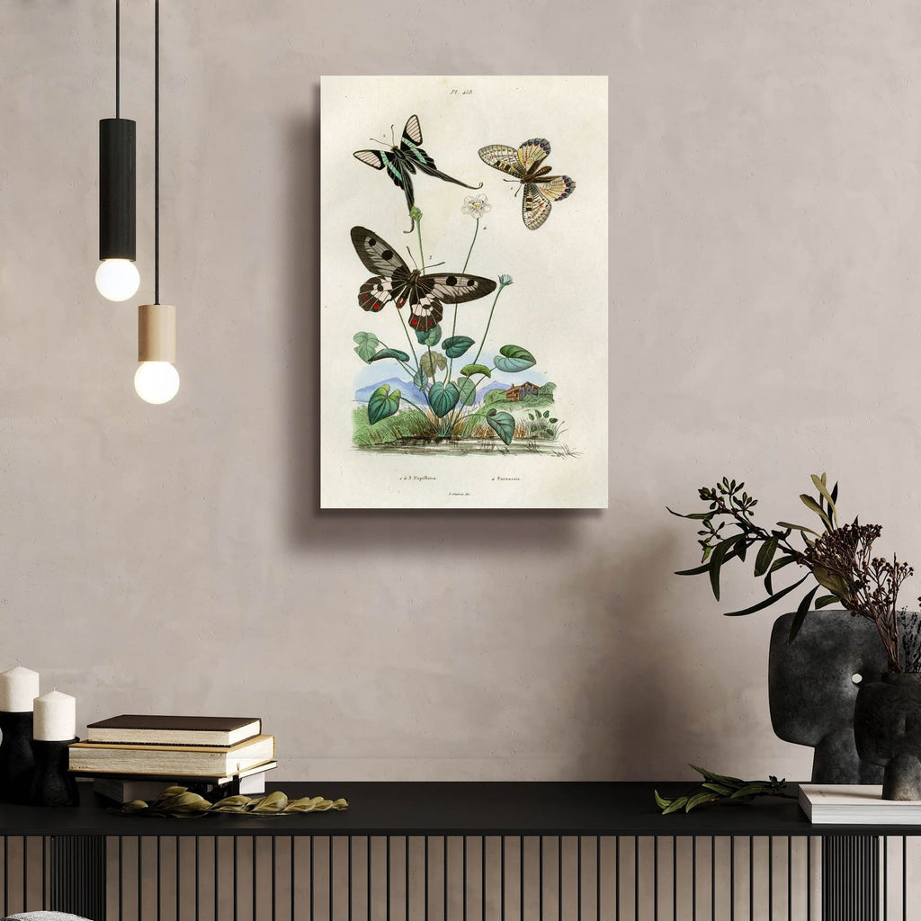 Papillons - Parnassie by Art Licensing Studio - 16x24 acrylic wall art in a room