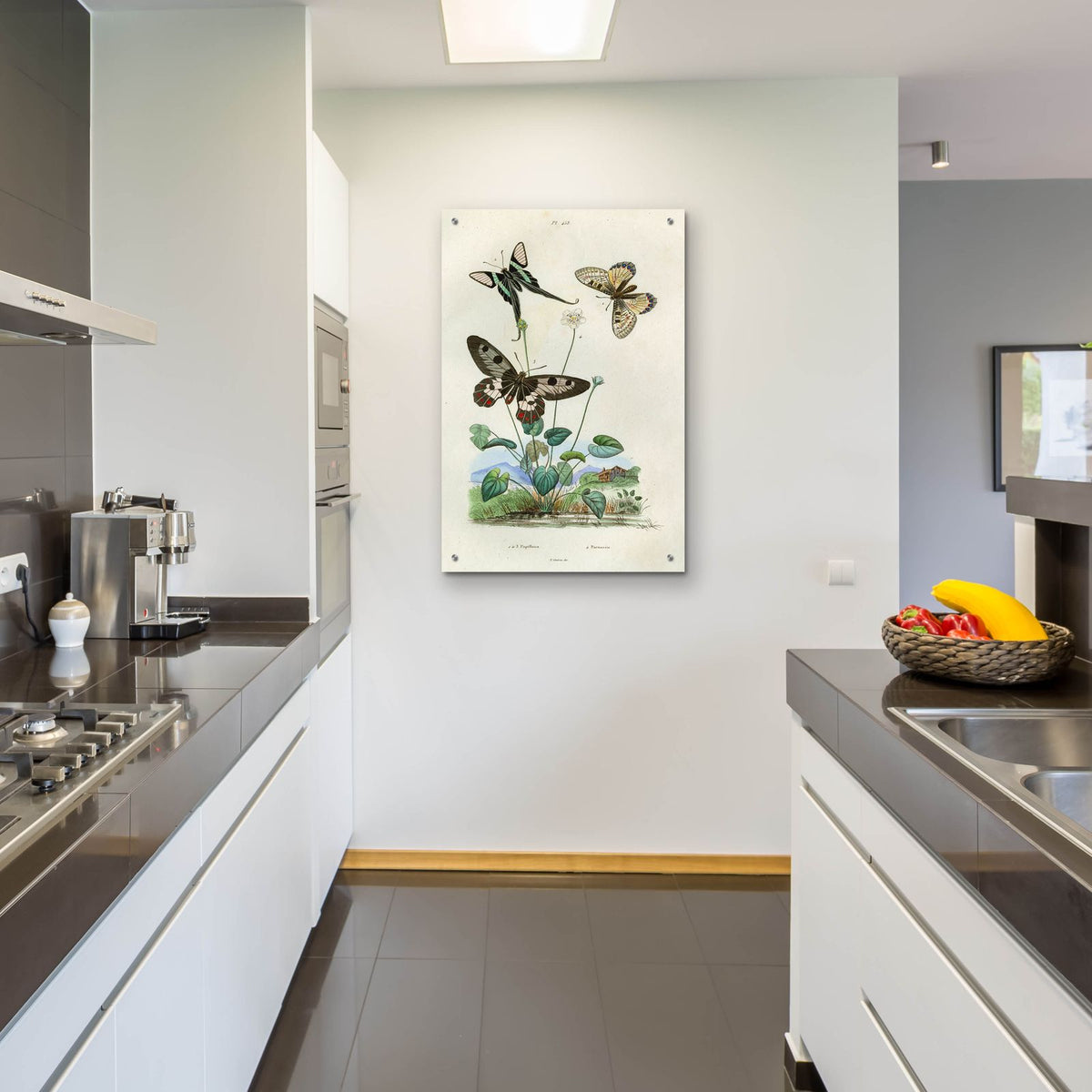 Papillons - Parnassie by Art Licensing Studio - 24x36 acrylic wall art in a room