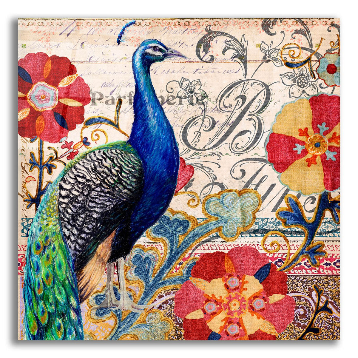 Peacock Dcor 1 by Art Licensing Studio acrylic glass wall art