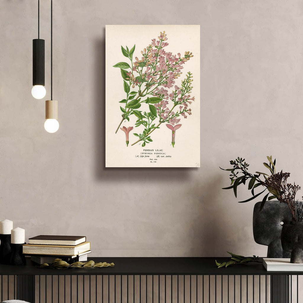 Persian Lilac by Art Licensing Studio - 16x24 acrylic wall art in a room