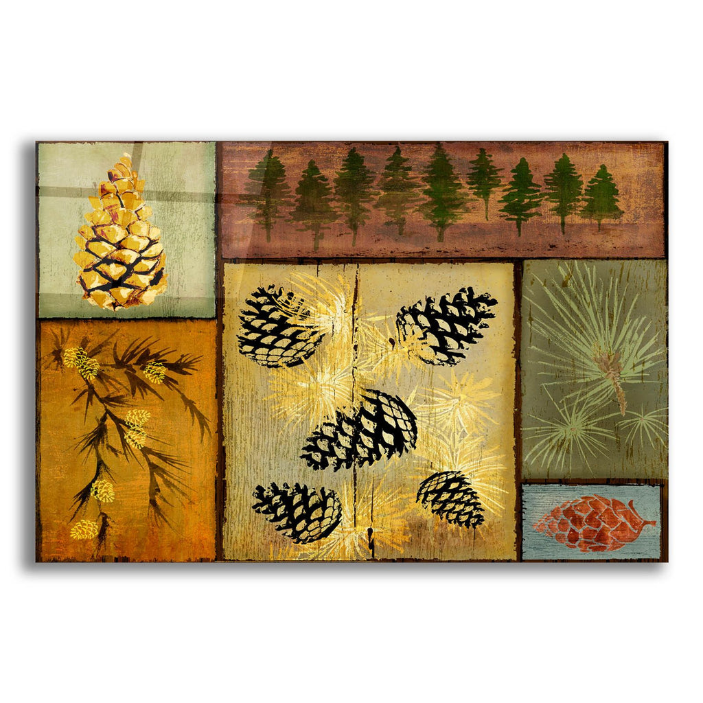 Pines And Oak 1 by Art Licensing Studio acrylic glass wall art
