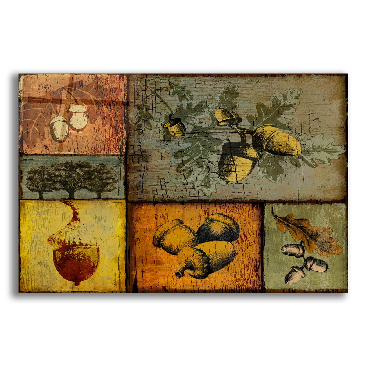 Pines And Oak 2 by Art Licensing Studio acrylic glass wall art