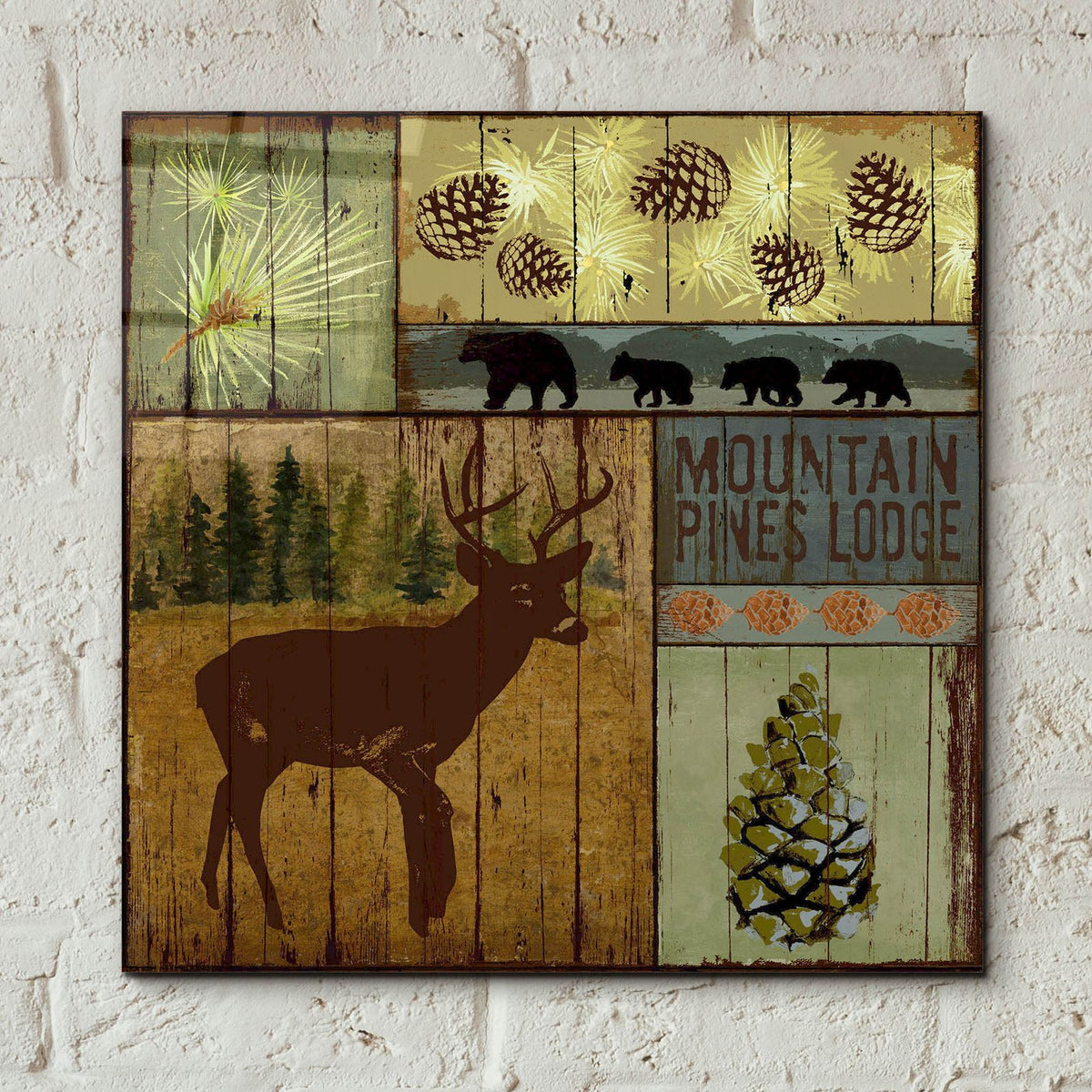 Pines And Oaks 3 by Art Licensing Studio - 12x12 acrylic wall art in a room