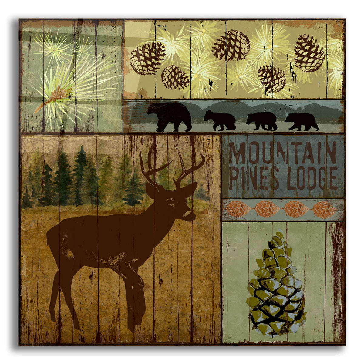 Pines And Oaks 3 by Art Licensing Studio acrylic glass wall art