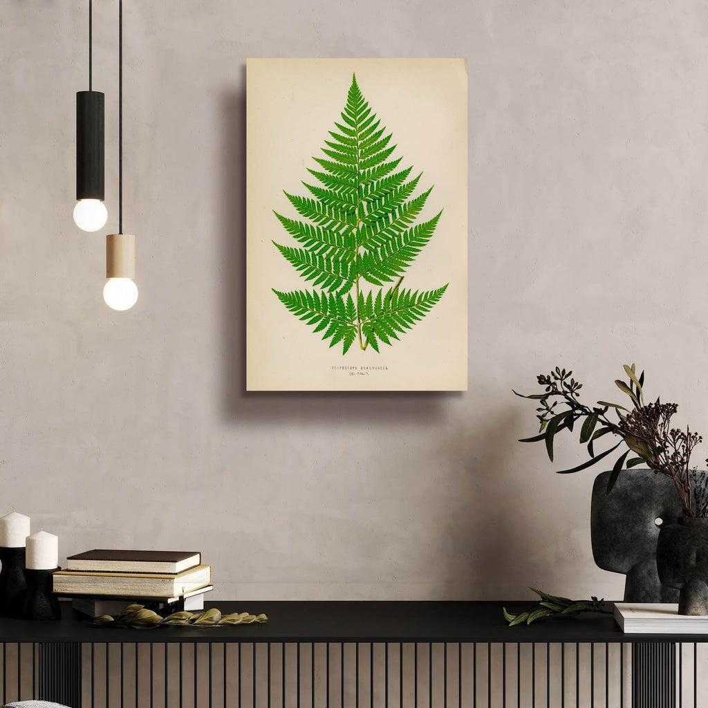 Polybotrya Osmundacea by Art Licensing Studio - 16x24 acrylic wall art in a room