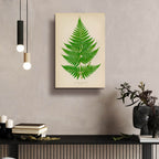 Polybotrya Osmundacea by Art Licensing Studio - 16x24 acrylic wall art in a room