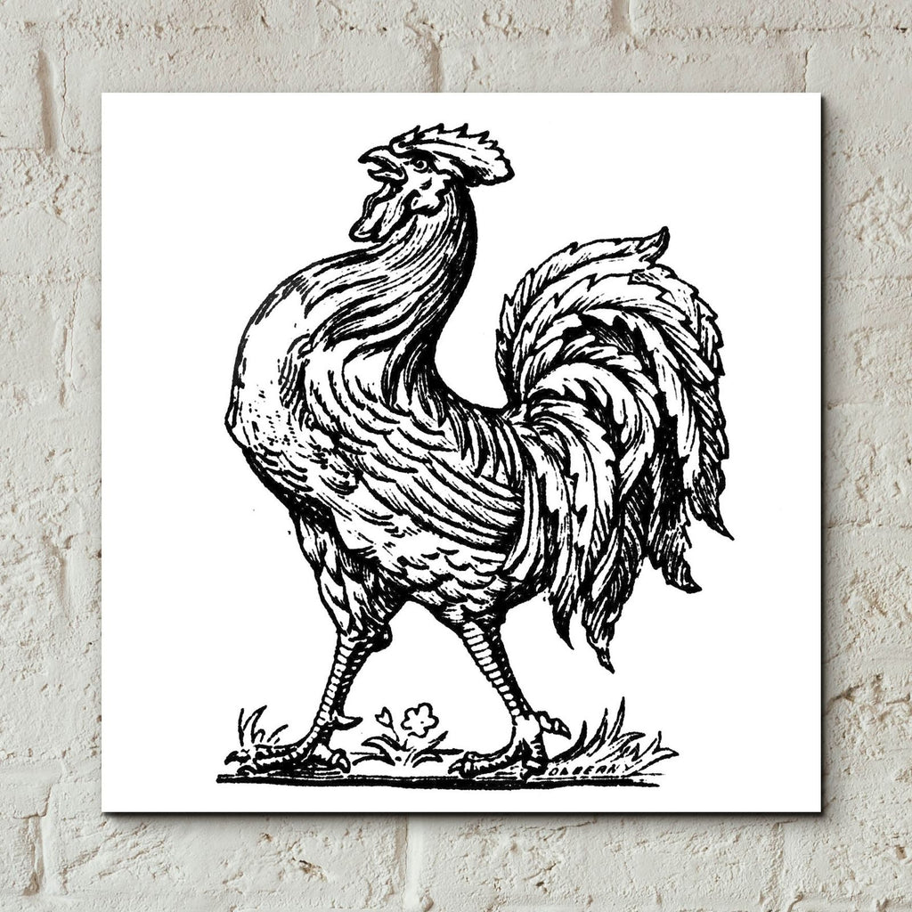 Proud Rooster by Art Licensing Studio - 12x12 acrylic wall art in a room