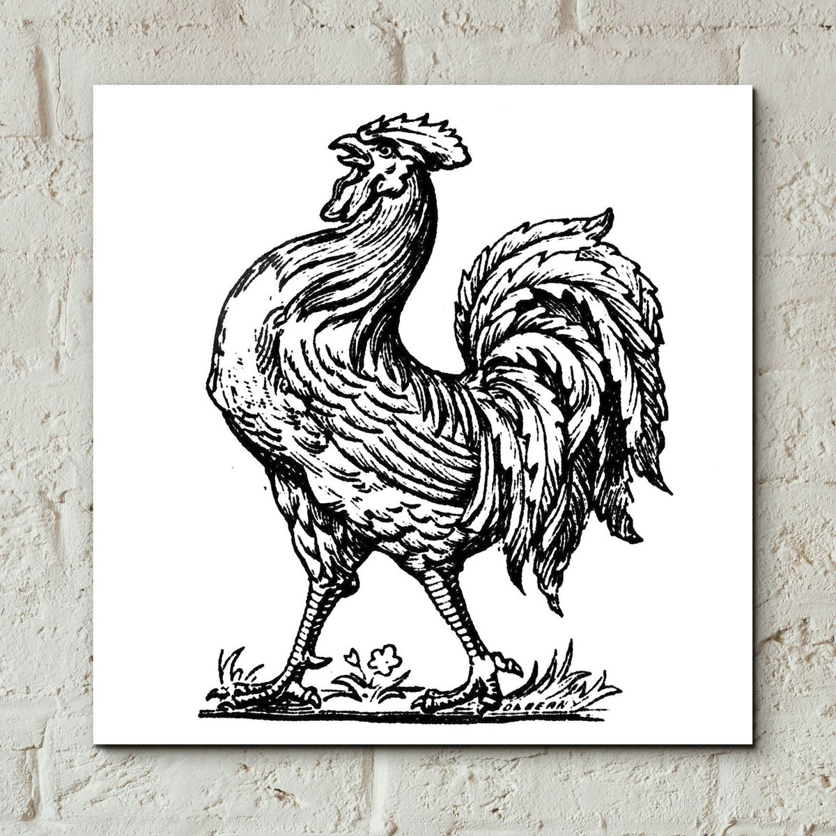 Proud Rooster by Art Licensing Studio - 12x12 acrylic wall art in a room
