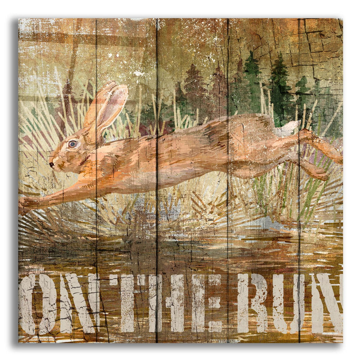 Rabbit On The Run by Art Licensing Studio acrylic glass wall art