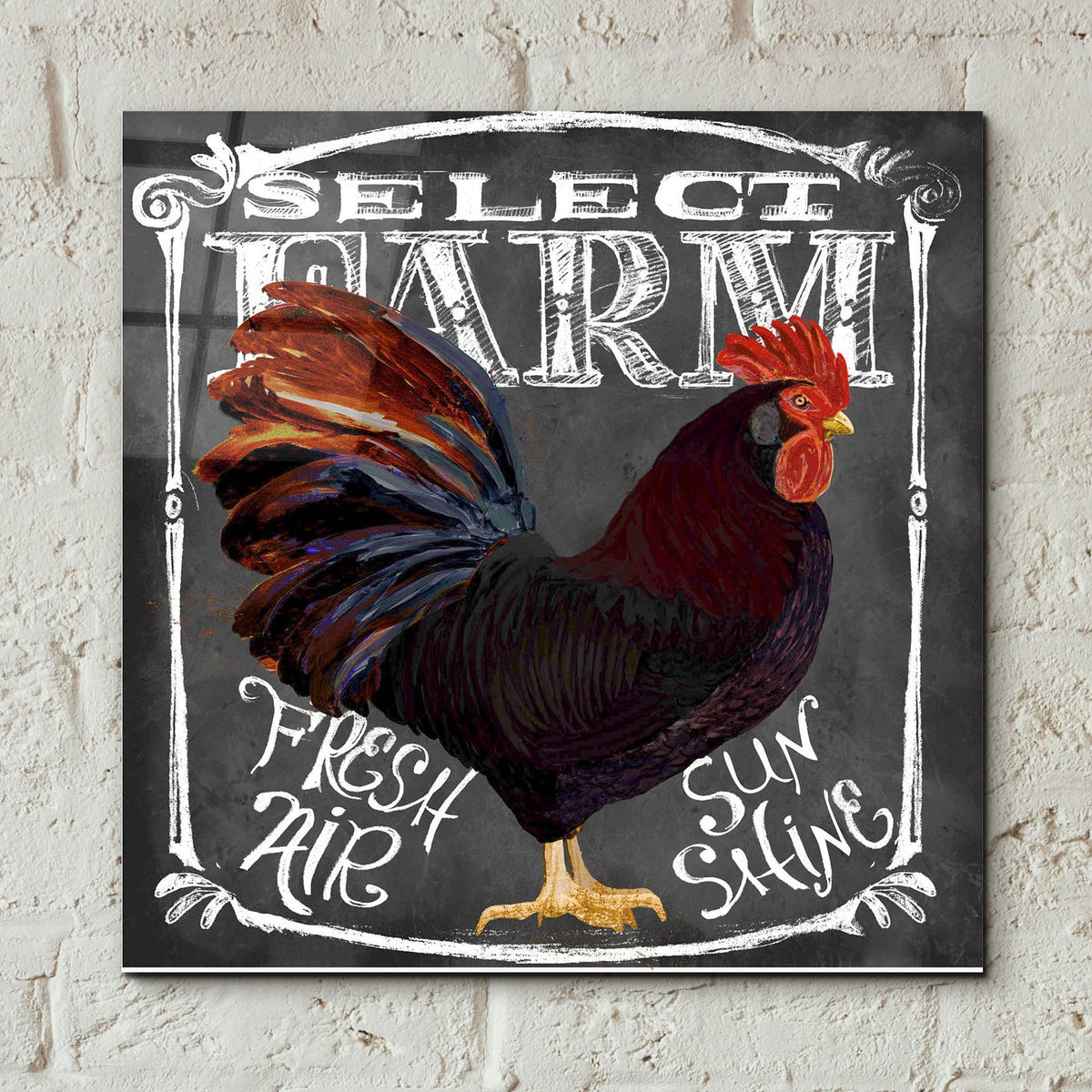 Rooster On Chalkboard 3 by Art Licensing Studio - 12x12 acrylic wall art in a room