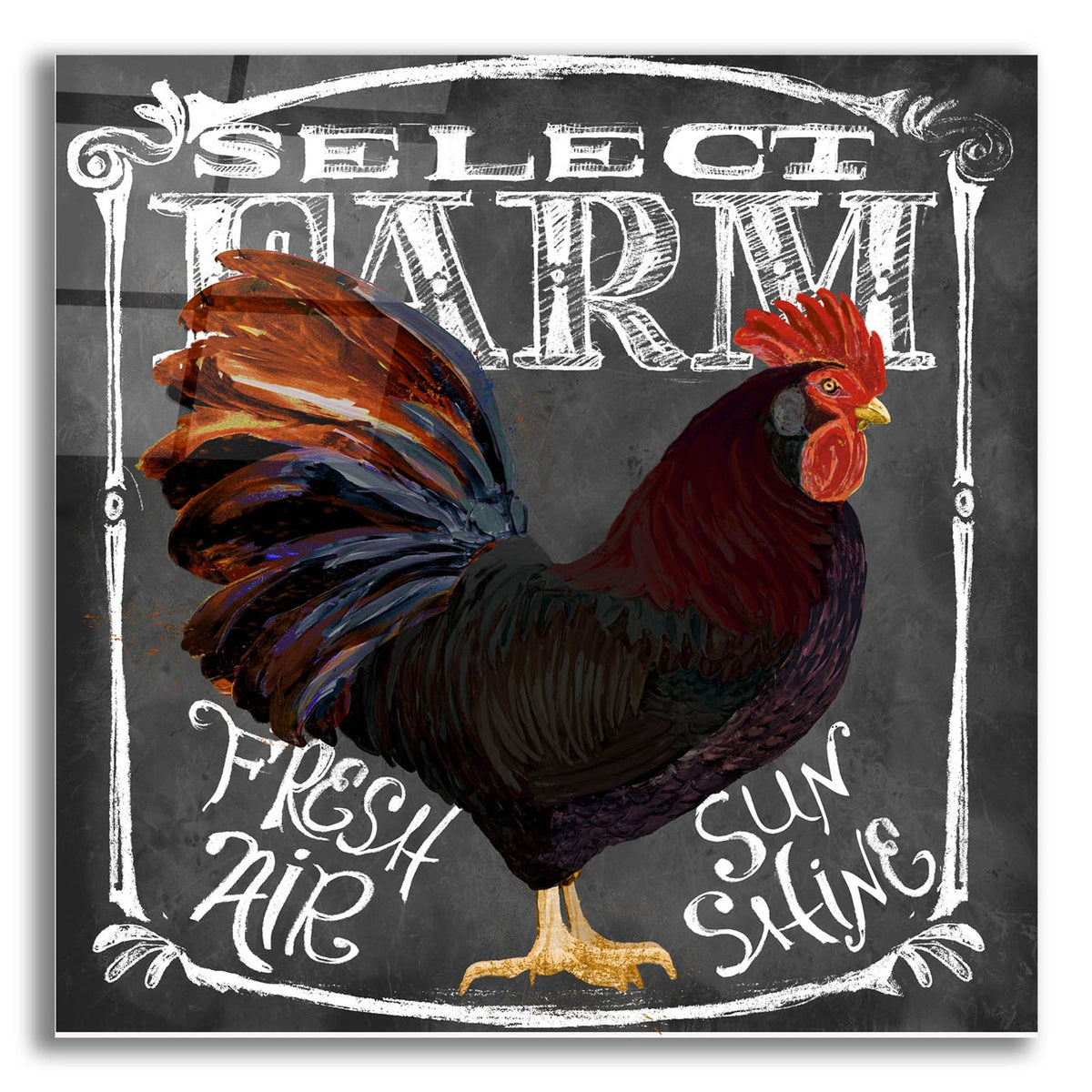 Rooster On Chalkboard 3 by Art Licensing Studio acrylic glass wall art