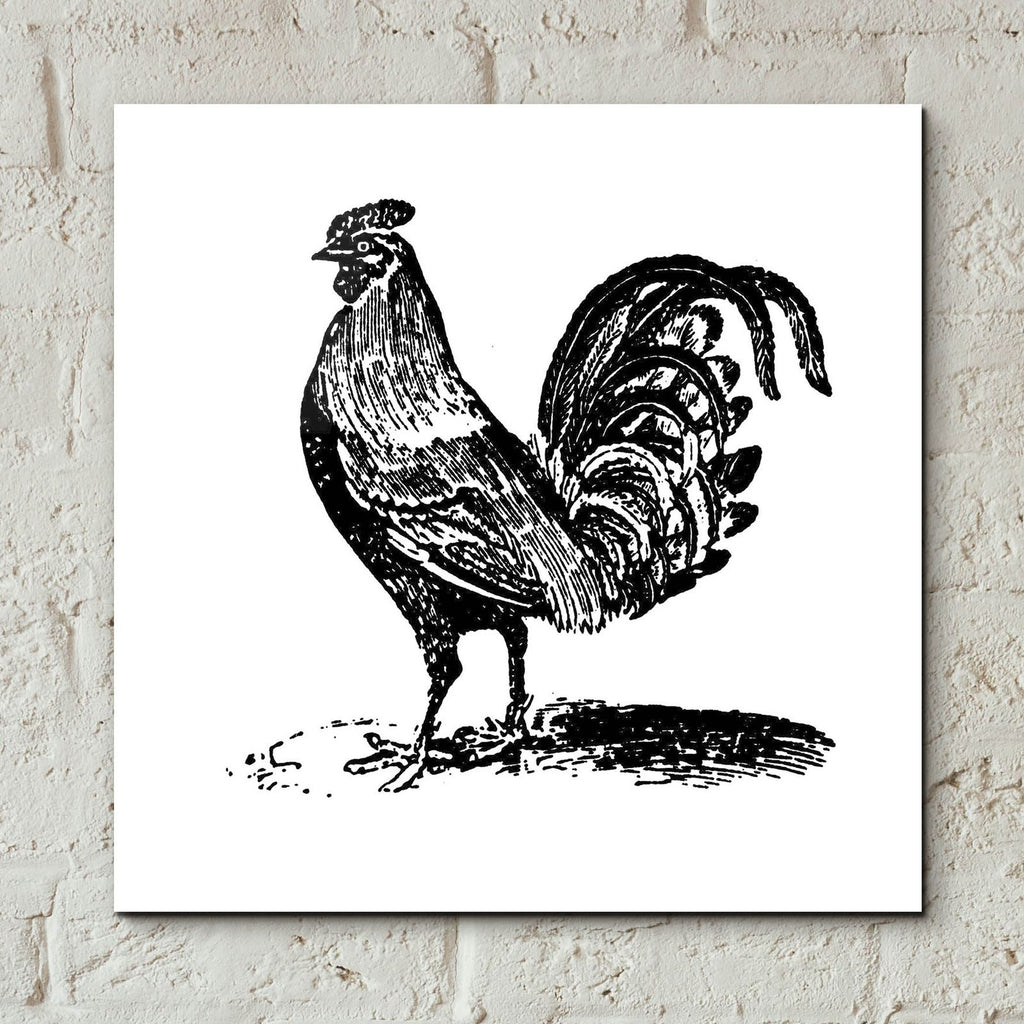Rooster Ready by Art Licensing Studio - 12x12 acrylic wall art in a room