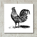 Rooster Ready by Art Licensing Studio - 12x12 acrylic wall art in a room