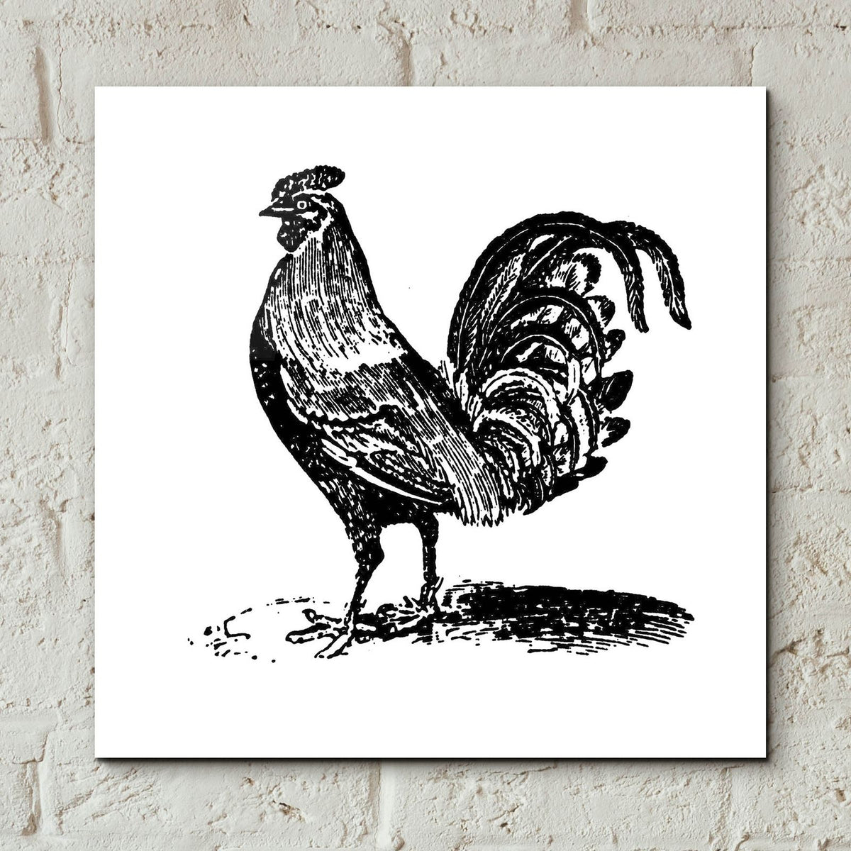 Rooster Ready by Art Licensing Studio - 12x12 acrylic wall art in a room