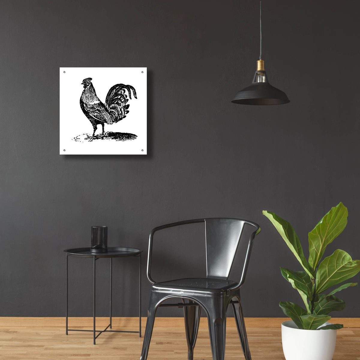 Rooster Ready by Art Licensing Studio - 24x24 acrylic wall art in a room