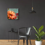 Rouge From The Garden 2 by Art Licensing Studio - 24x24 acrylic wall art in a room