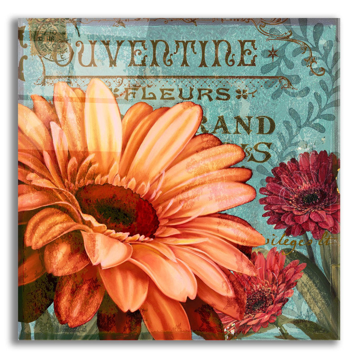 Rouge From The Garden 2 by Art Licensing Studio acrylic glass wall art