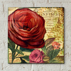 Rouge From The Garden 4 by Art Licensing Studio - 12x12 acrylic wall art in a room