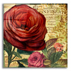 Rouge From The Garden 4 by Art Licensing Studio acrylic glass wall art