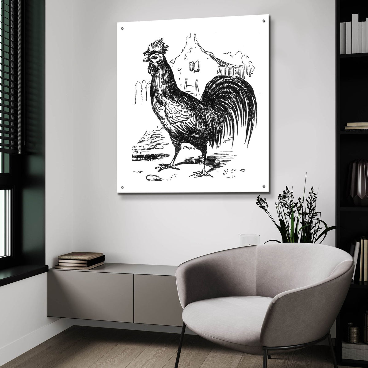 Roving Rooster by Art Licensing Studio - 36x36 acrylic wall art in a room