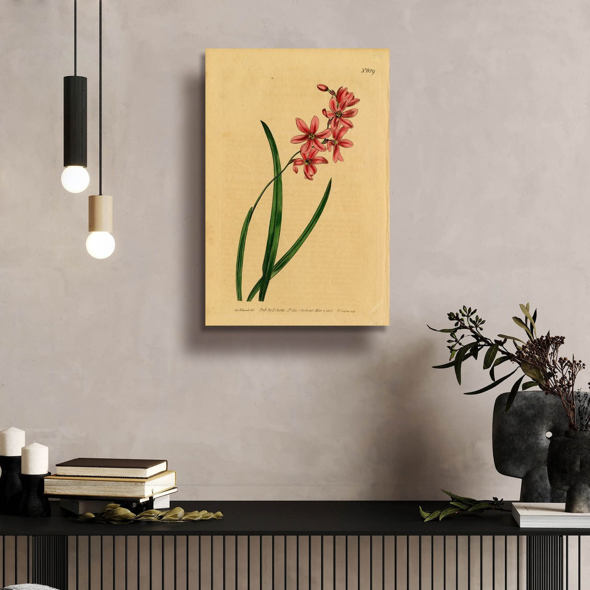 Scented Ixia by Art Licensing Studio - 16x24 acrylic wall art in a room