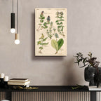 Scrophularineae by Art Licensing Studio - 16x24 acrylic wall art in a room