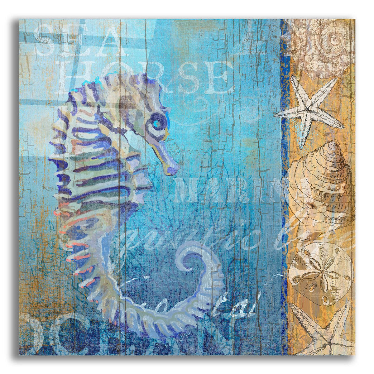Sea Horse And Sea by Art Licensing Studio acrylic glass wall art