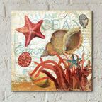 Shell Collector 1i by Art Licensing Studio - 12x12 acrylic wall art in a room