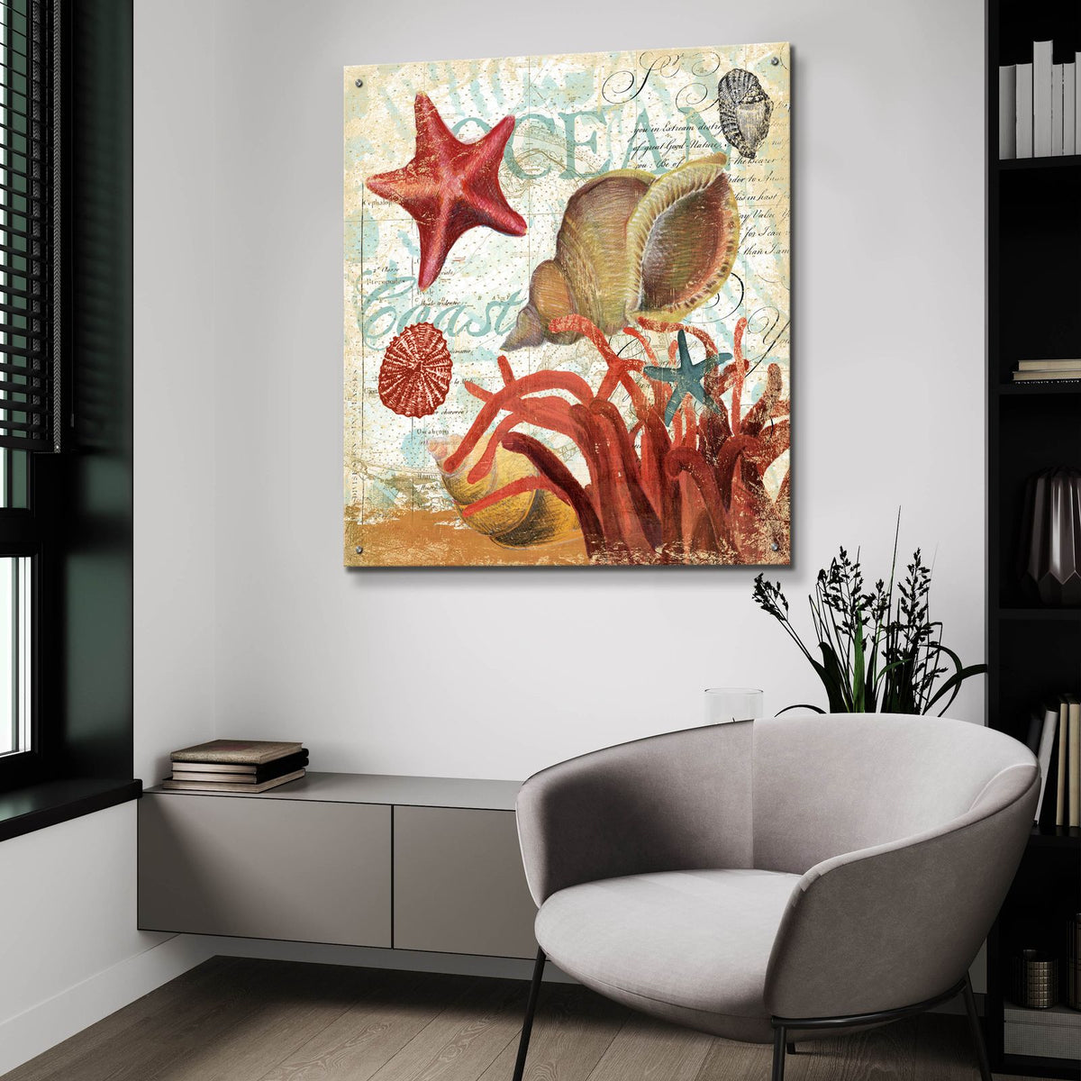 Shell Collector 1i by Art Licensing Studio - 36x36 acrylic wall art in a room
