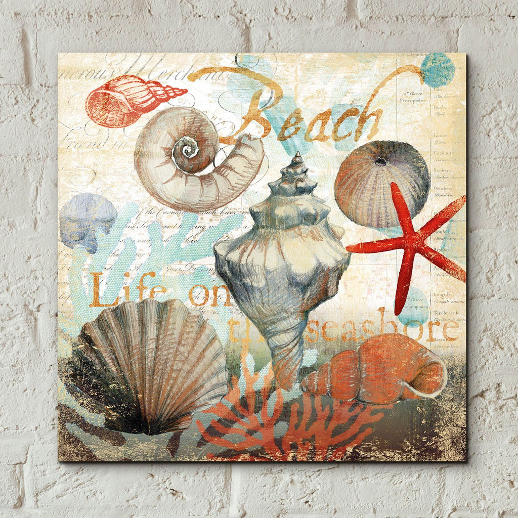 Shell Collector1 by Art Licensing Studio - 12x12 acrylic wall art in a room
