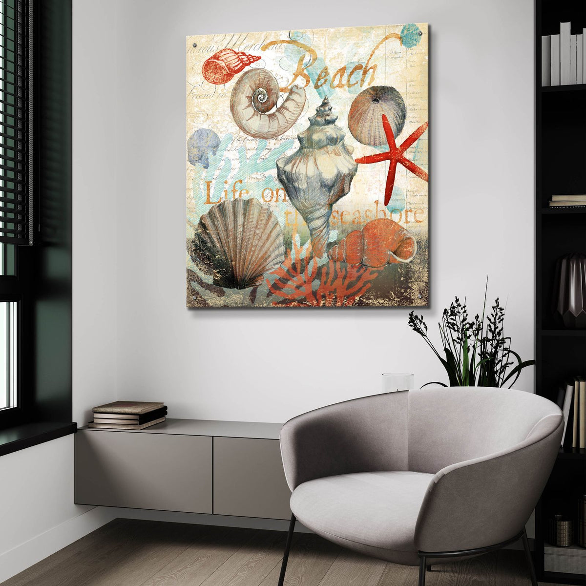 Shell Collector1 by Art Licensing Studio - 36x36 acrylic wall art in a room
