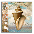 Shell Dreams 1 by Art Licensing Studio acrylic glass wall art