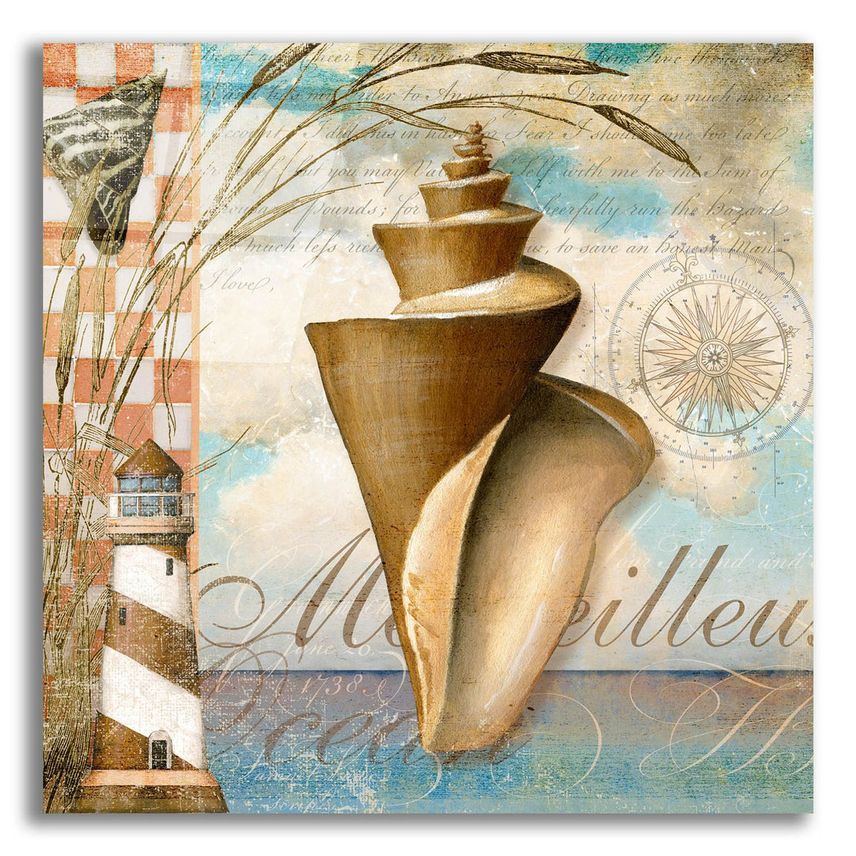 Shell Dreams 1 by Art Licensing Studio acrylic glass wall art