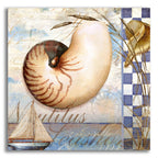 Shell Dreams 2 by Art Licensing Studio acrylic glass wall art