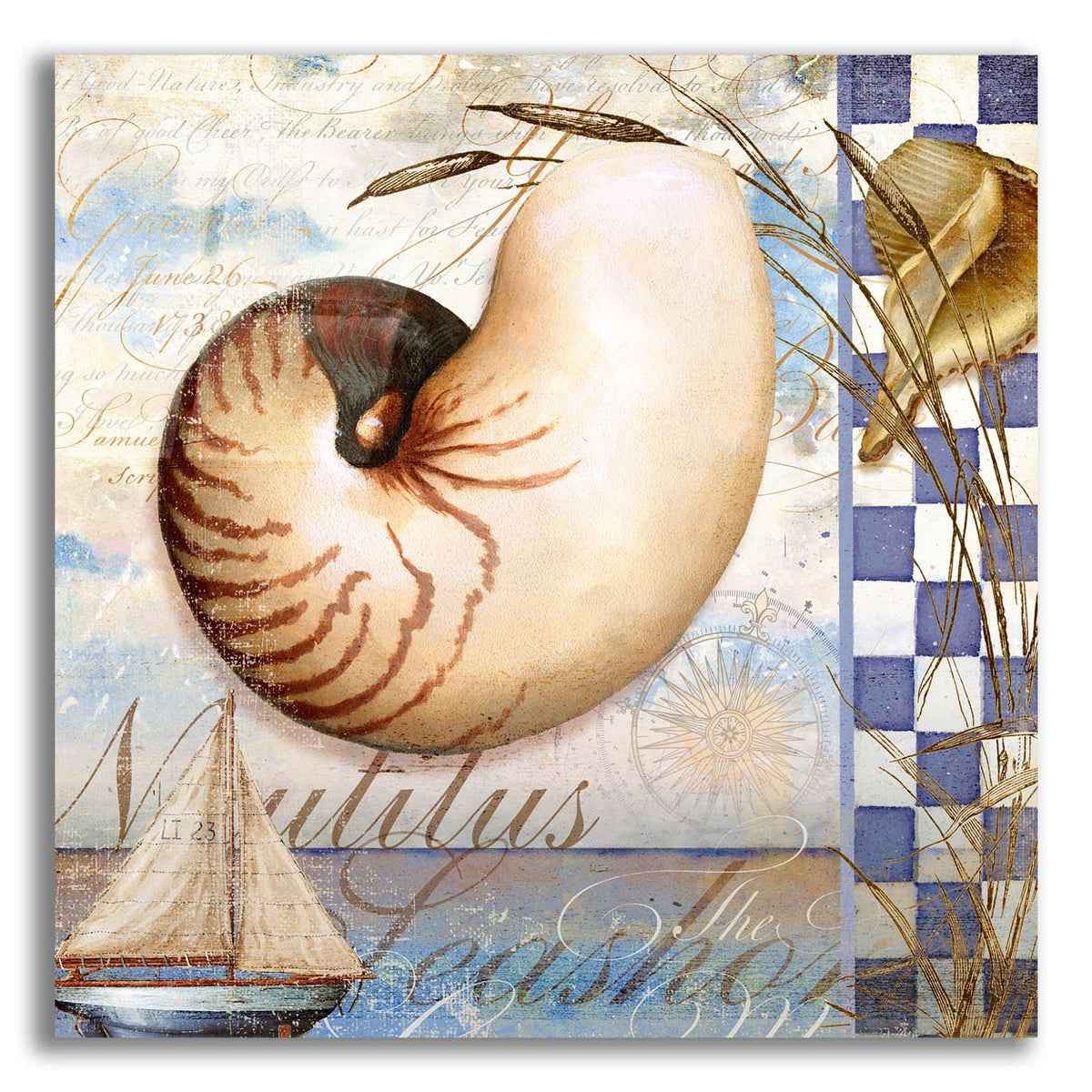 Shell Dreams 2 by Art Licensing Studio acrylic glass wall art